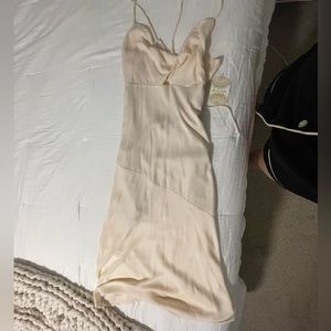 NWT light pink altered state silk dress